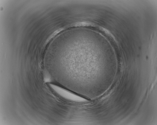 X0000085301217200703231850