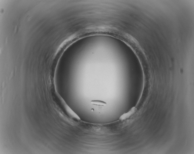 X0000085301218200703231850