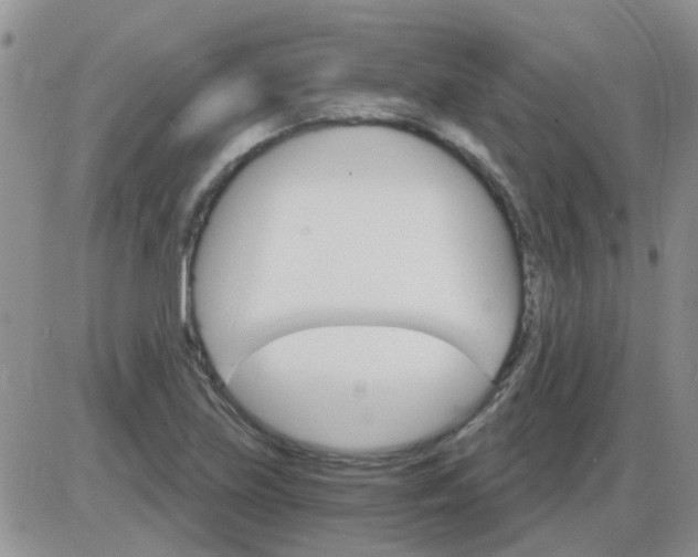 X0000085301219200703231850