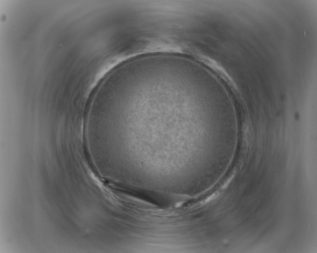 X0000085301220200703231850