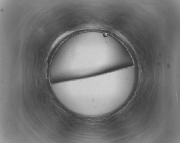 X0000085301222200703231850