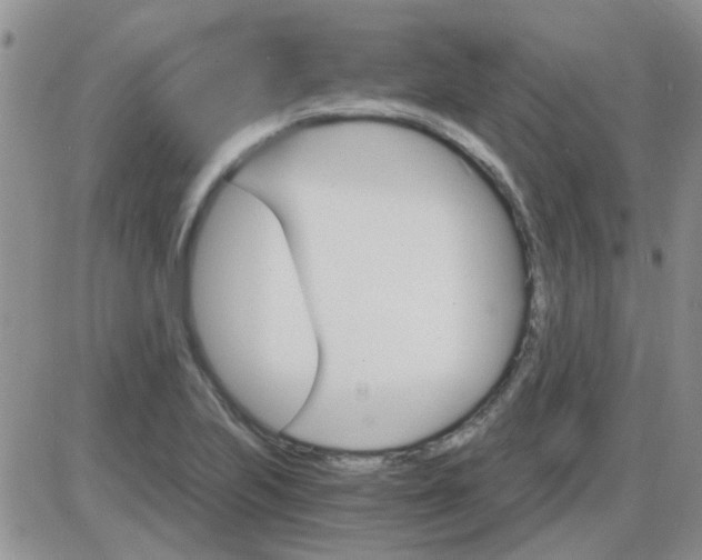 X0000085301223200703231850