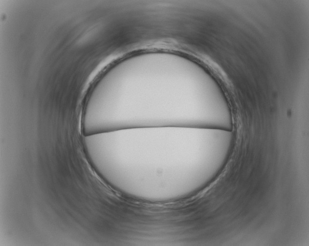 X0000085301224200703231850