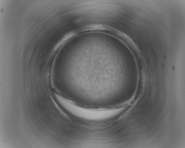 X0000085301225200703231850