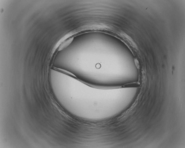 X0000085301226200703231850