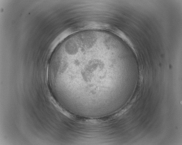 X0000085301227200703231850