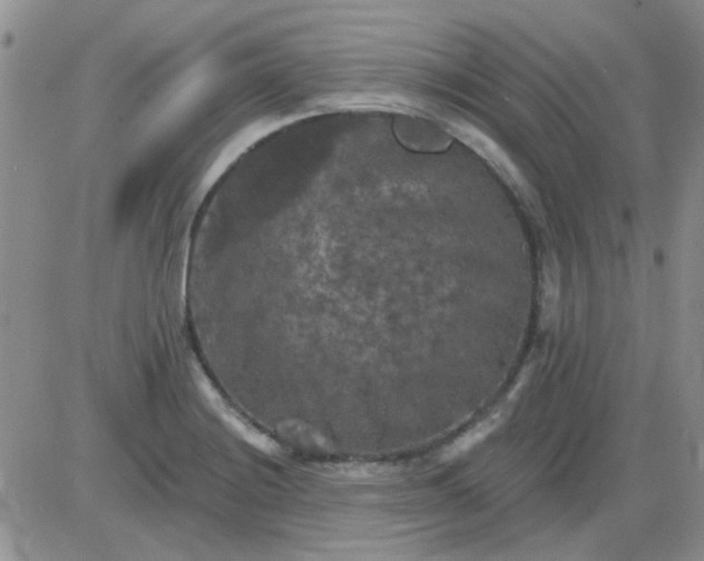 X0000085301228200703231850