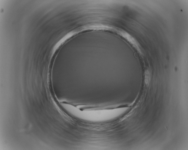 X0000085301229200703231850