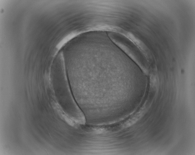 X0000085301230200703231850