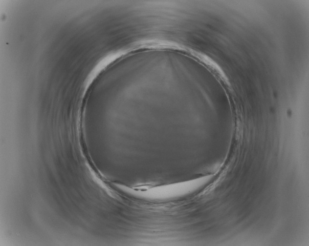 X0000085301231200703231850