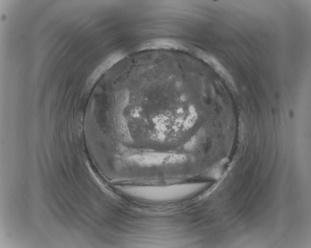 X0000085301233200703231850