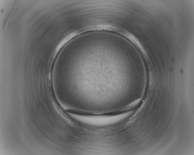 X0000085301234200703231850