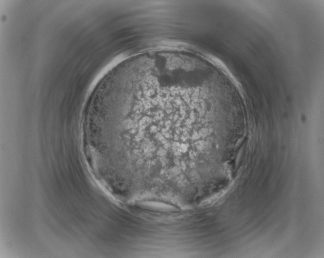 X0000085301235200703231850