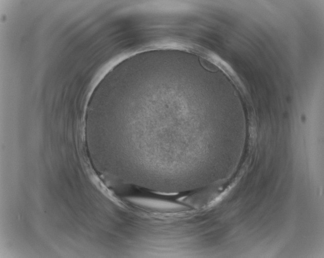 X0000085301236200703231850