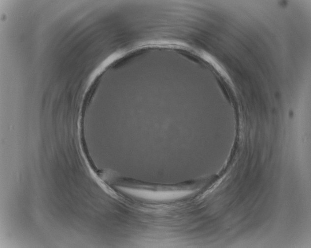 X0000085301237200703231850