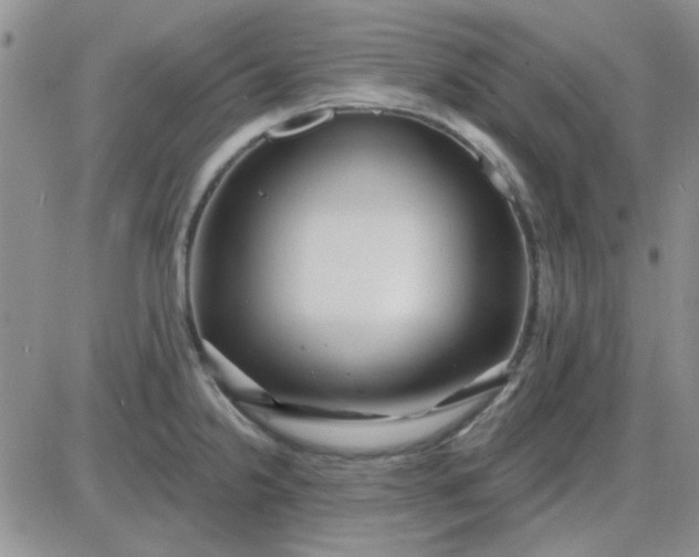 X0000085301238200703231850