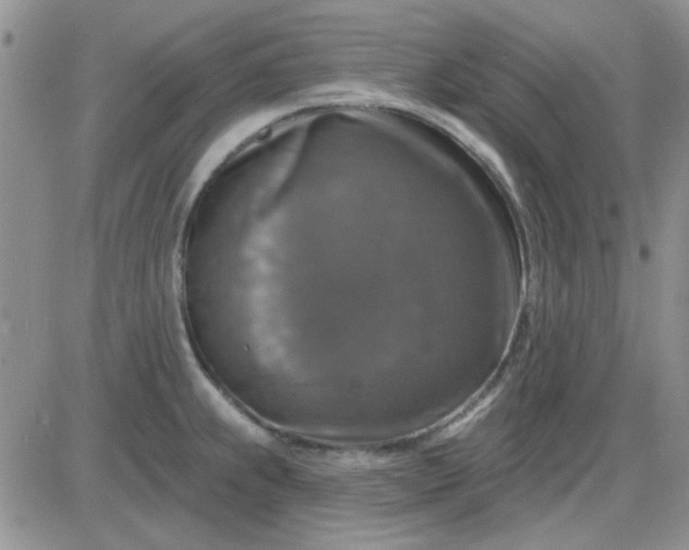 X0000085301239200703231850