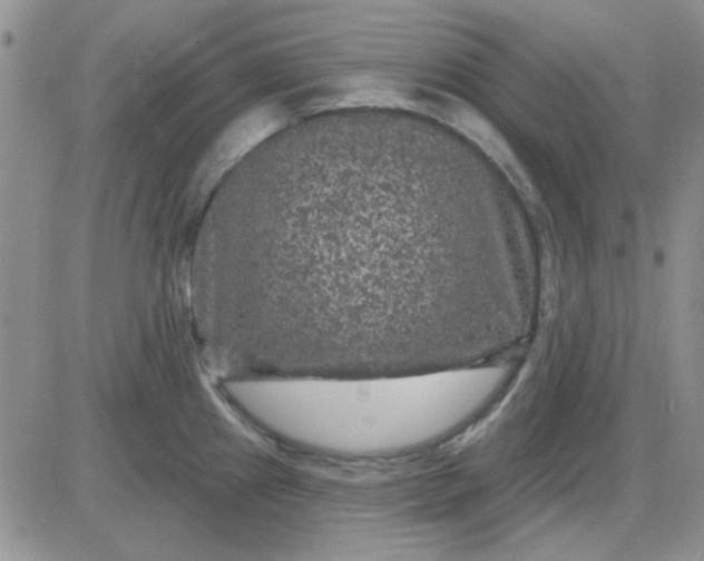 X0000085301241200703231850