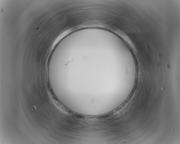 X0000085301242200703231850