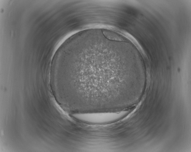 X0000085301244200703231850