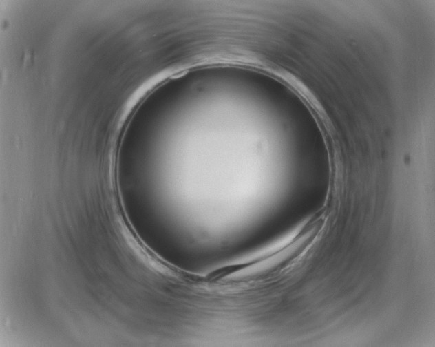 X0000085301246200703231850