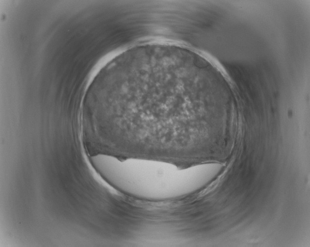 X0000085301247200703231850