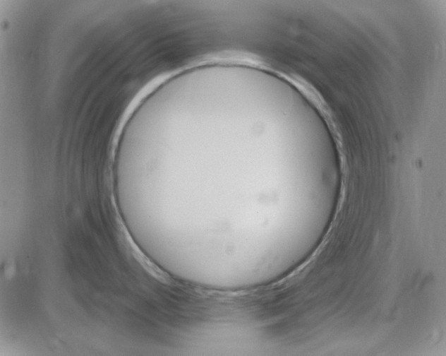 X0000085301248200703231850