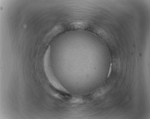 X0000085301249200703231849