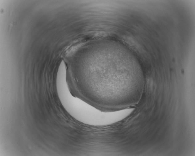 X0000085301250200703231849