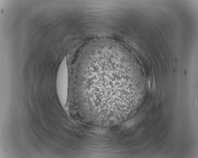 X0000085301251200703231849