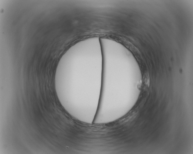 X0000085301252200703231849