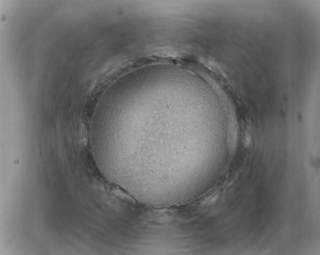 X0000085301253200703231849