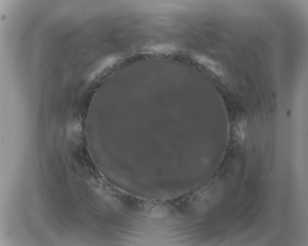 X0000085301254200703231849