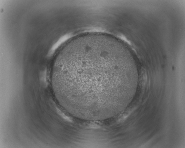 X0000085301255200703231849