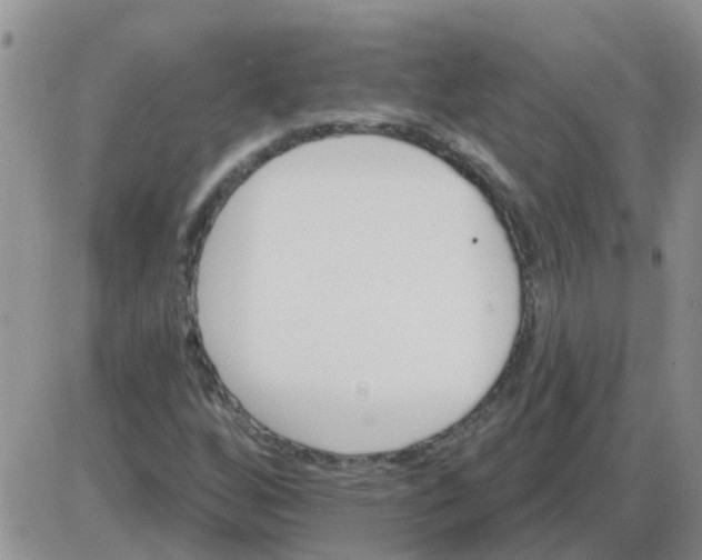 X0000085301256200703231849