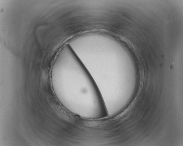 X0000085301257200703231849