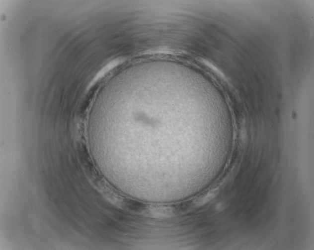 X0000085301258200703231849