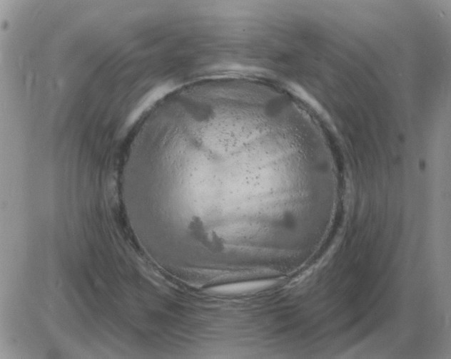 X0000085301259200703231849