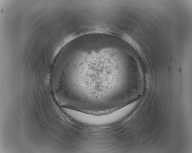 X0000085301260200703231849