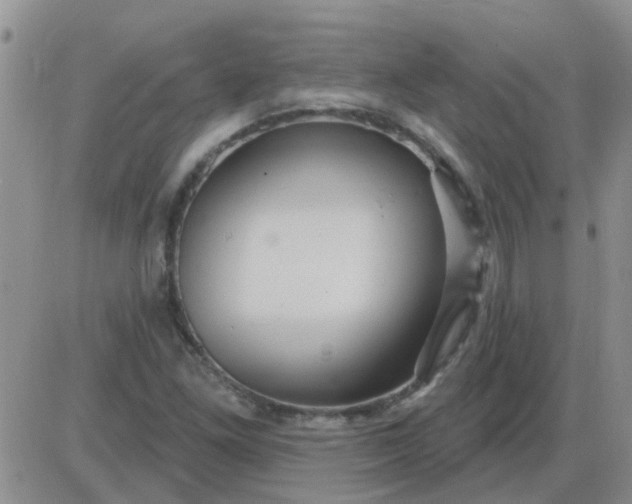 X0000085301261200703231849