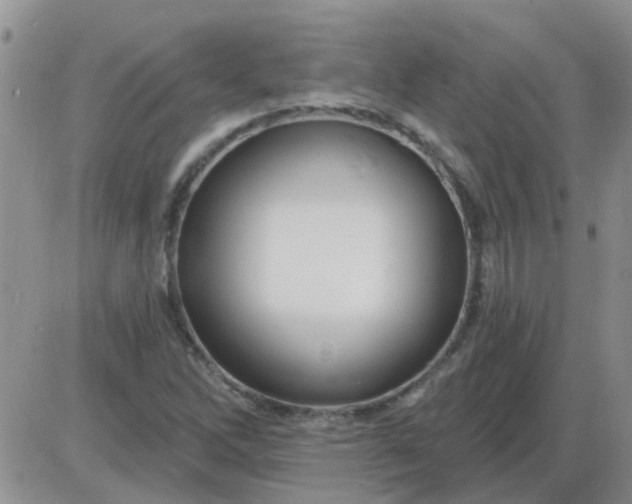 X0000085301262200703231849