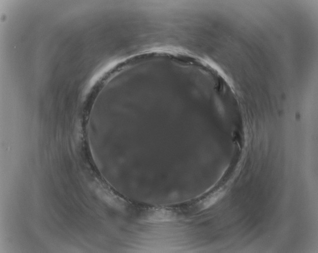 X0000085301263200703231849