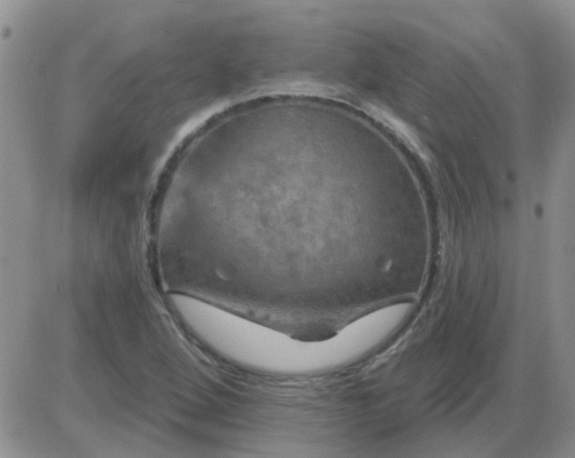 X0000085301264200703231849