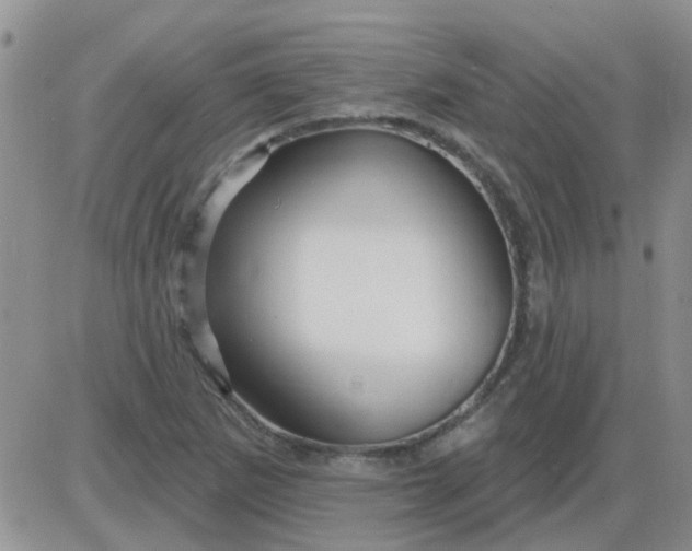 X0000085301265200703231849