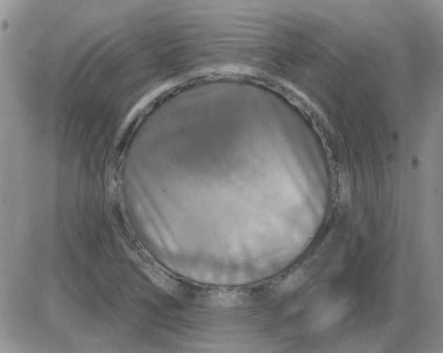 X0000085301266200703231849