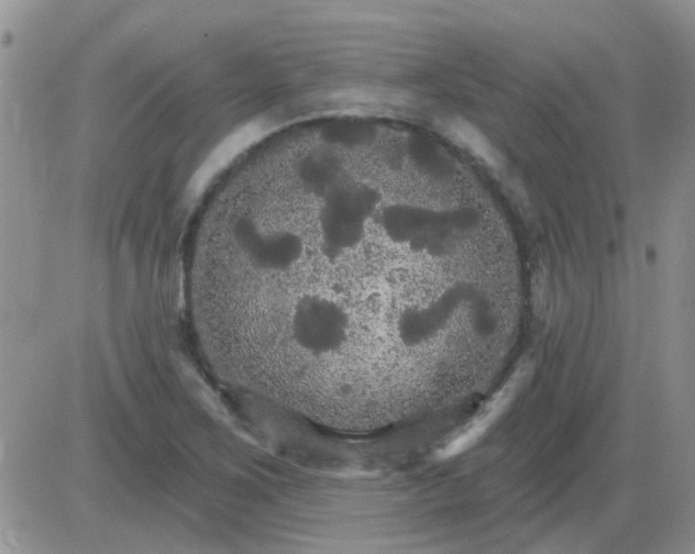 X0000085301267200703231849