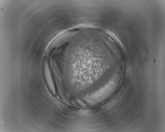 X0000085301268200703231849