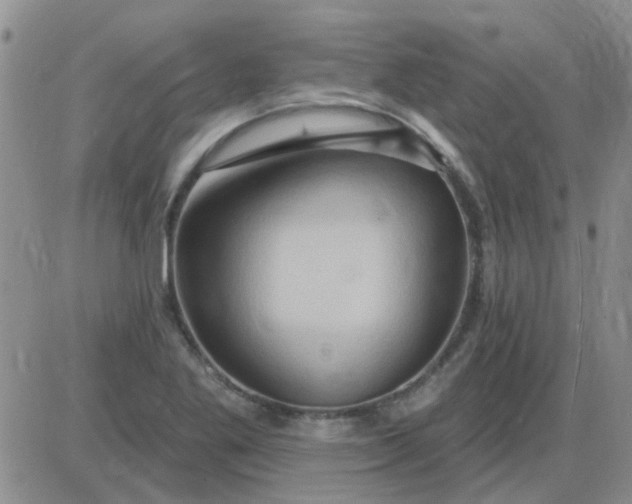 X0000085301269200703231849