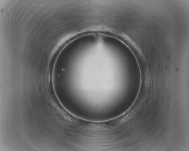 X0000085301270200703231849