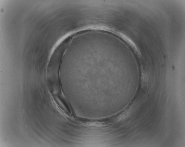 X0000085301272200703231849